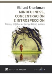 Mindfulnes Concentracion E Instropeccion