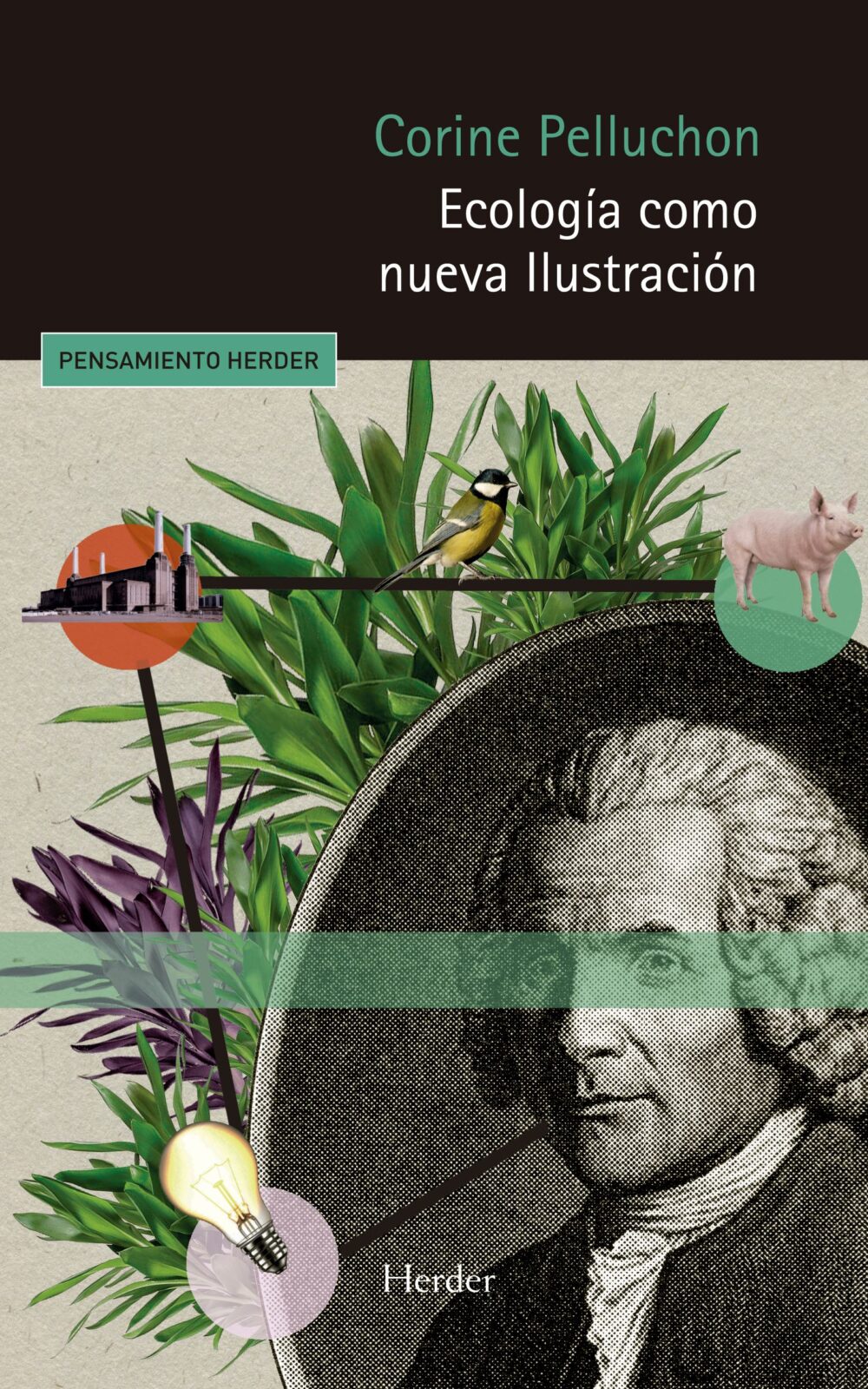 Ecologia Como Nueva Ilustracion