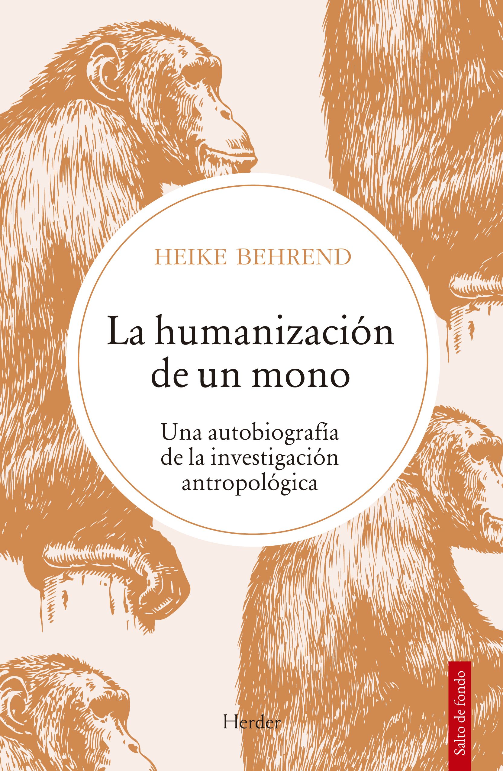 Humanizacion De Un Mono
